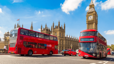 London Way Net Worth