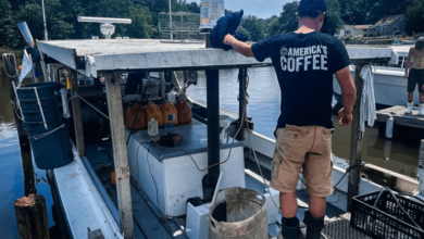 Luke McFadden Net Worth