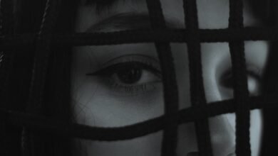 benzino s net worth analysis