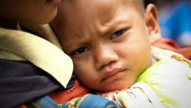 kniko howard sr biography details