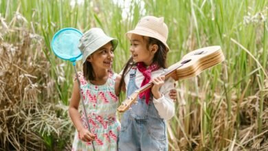 tony mottola s music earnings