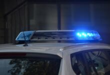 fraud hotline security alert