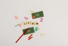 identity fraud prevention monitoring