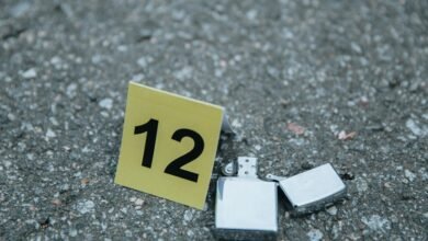 mystery number investigation hotline