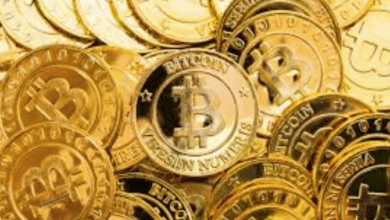 Risks Every Crypto Investor Should Know
